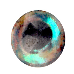 H2O Lightweight Rainbow Dumbells