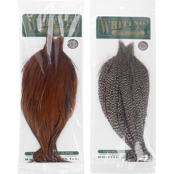 Cape de coq Whiting Hebert Bronze