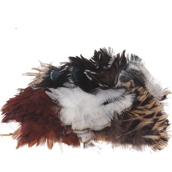 Hareline morceau de peau du cou de faisan de Colchide avec plumes
