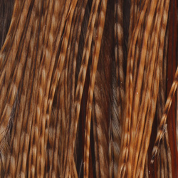 Whiting 1/2 Cape Bronce