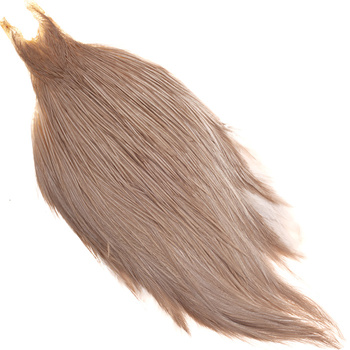 Cape de coq Metz #2