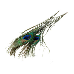 FFGene Sections de plumes de queue de paon avec œil, 2 pièces