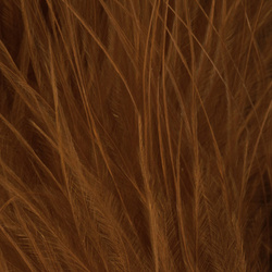 FFGene Extra Large Marabou (Blood Quill) (12-15cm)