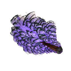 Wapsi Plumes de cou de faisan de Lady Amherst