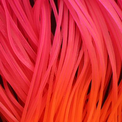 Fl Hot Pink With Fl Orange Tips