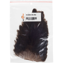 Selle de poule FFGene India