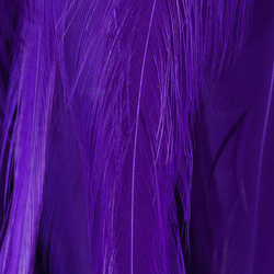 Hareline Plumes de selle de coq chinois liées à la base 5-7