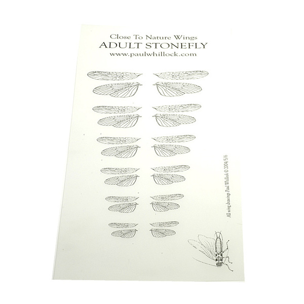 Paul Whitllock Close To Nature Stonefly