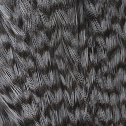 Ewing Grizzly Whole Capes