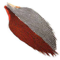 Demi-cape de plumes de cou Hareline