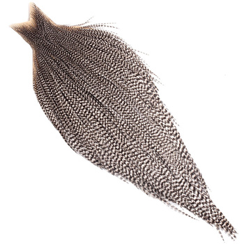 Cape de coq Whiting Bronze