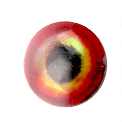 Yeux pour mouches H2O Lightweight Rainbow Dumbells