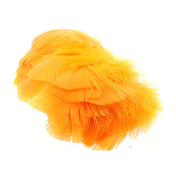 Wapsi Plumes plates de dindon