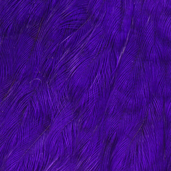 Wapsi Salmon Hen Neck