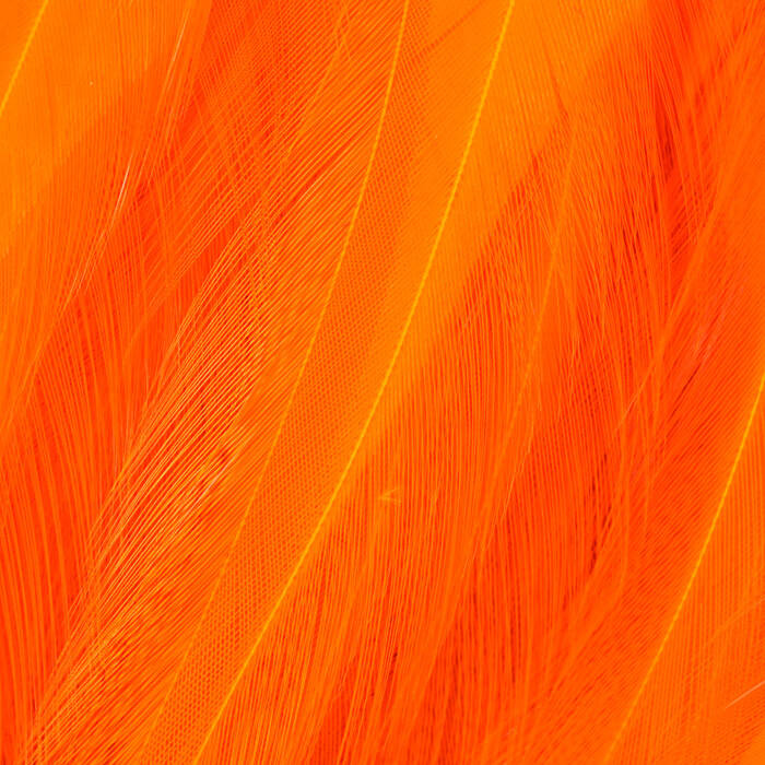 Fire Orange