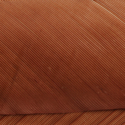 Hareline Turkey Biot Quills