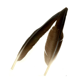 Wapsi Pennes d’aile d’oie