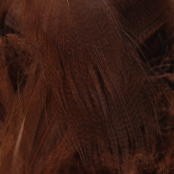 Hareline plumes de flanc de canard colvert