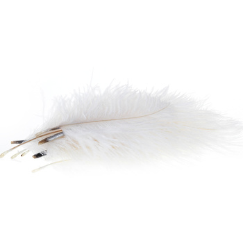 Wapsi – plumes d’autruche type marabout