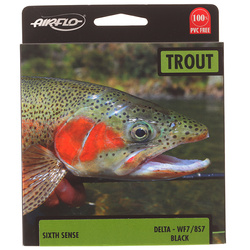 Soie mouche Airflo Sixth Sense Delta Sinking