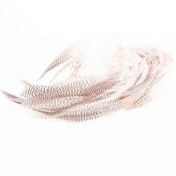 Spirit River UV2 – plumes de colvert