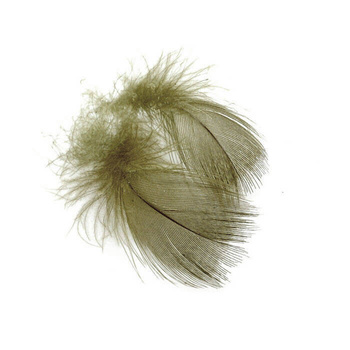 FFGene Plumes de poitrine de canard colvert