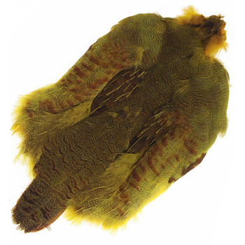Wapsi – peau de perdrix hongroise garnie de plumes