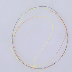 Pointe Negnon Two Tones Euro Nymphs