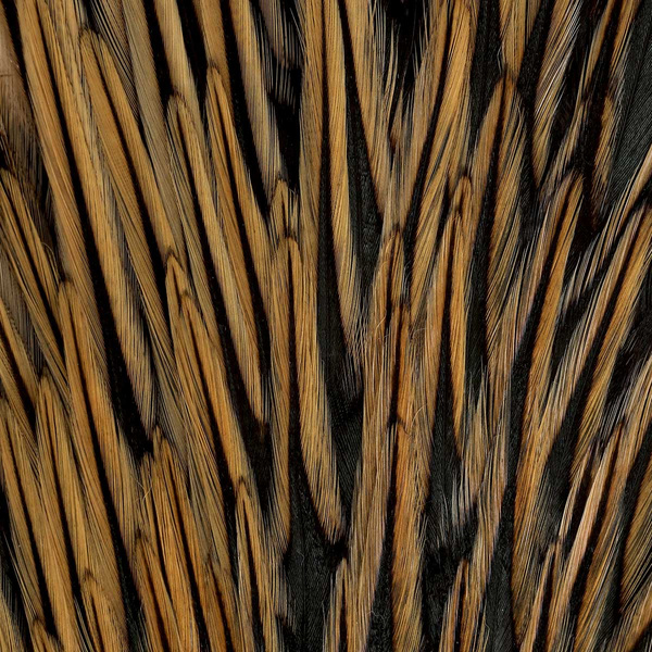 FFGene India Cock Saddles