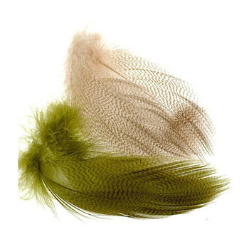 Wapsi Plumes barrées de flanc de canard colvert