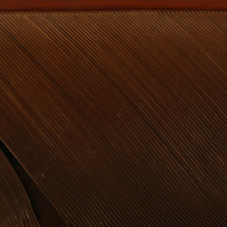 Hareline Turkey Biot Quills