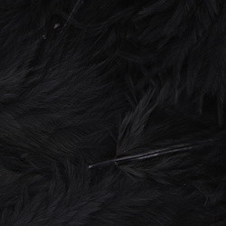 Hareline Plumes souples Grizzly pour hackle