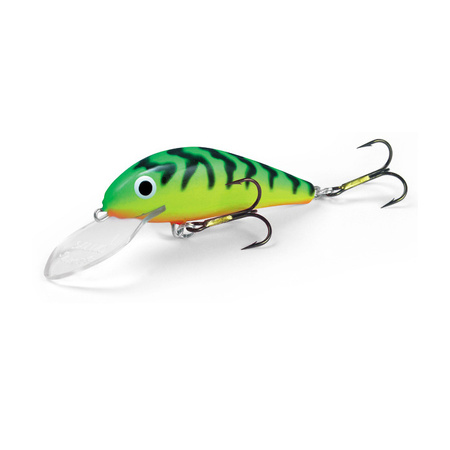 Salmo Salmon